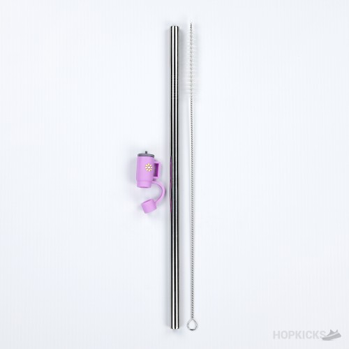 Stainless Steel Straws Set