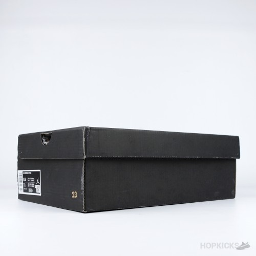 Air Jordan 1 Low Black White