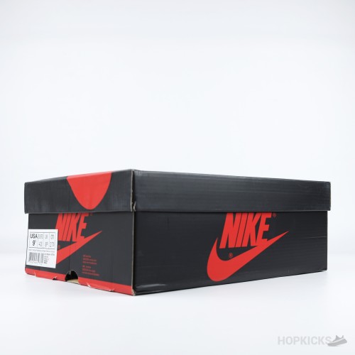 Air Jordan 1 Black White