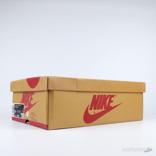 Air Jordan 1 Low OG "Rookie of the Year" (Dot Perfect)