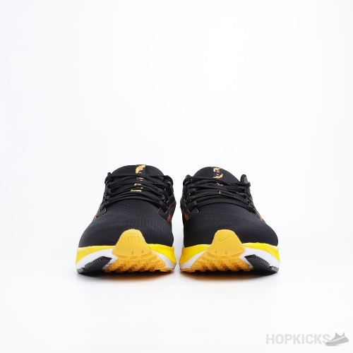 Air Zoom Pegasus 38 Blue Ribbon Sports