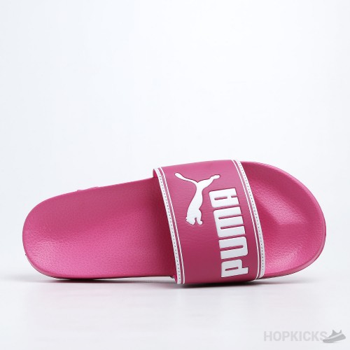 Leadcat Pink Slides