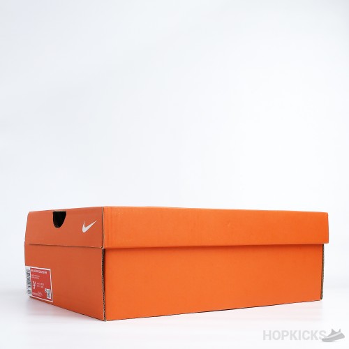 Air Zoom Pegasus 39 Pure Platinum Total Orange (Premium Batch)