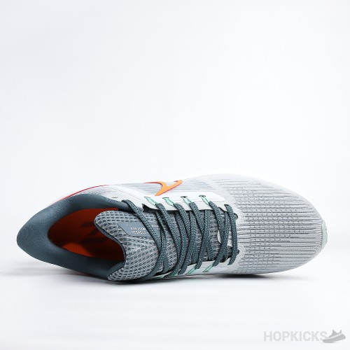 Air Zoom Pegasus 39 Pure Platinum Total Orange (Premium Batch)