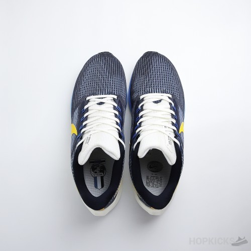 Air Zoom Pegasus 39 Obsidian Yellow (Premium Batch)