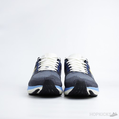 Air Zoom Pegasus 39 Obsidian Yellow (Premium Batch)