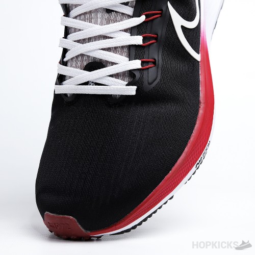 Air Zoom Pegasus 38 Black Red White (Premium Batch)