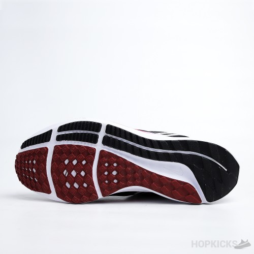 Air Zoom Pegasus 38 Black Red White (Premium Batch)