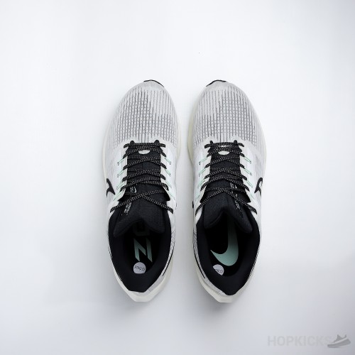 Air Zoom Pegasus 39 Phantom Grey Black (Premium Batch)