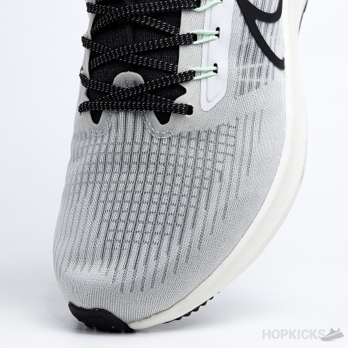 Air Zoom Pegasus 39 Phantom Grey Black (Premium Batch)