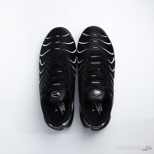 Air Max Plus Black Silver (Air Bubble) (Premium Batch)