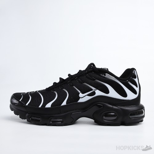 Air Max Plus Black Silver (Air Bubble) (Premium Batch)