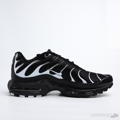 Air Max Plus Black Silver (Air Bubble) (Premium Batch)