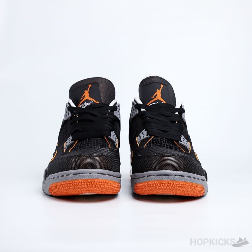 Air Jordan 4 Retro Starfish (W)