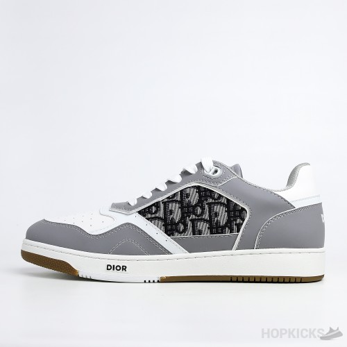 Dior B27 Low Gray White