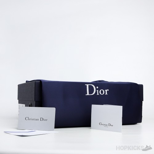 Dior B27 Low Gray White