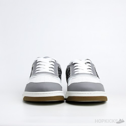 Dior B27 Low Gray White