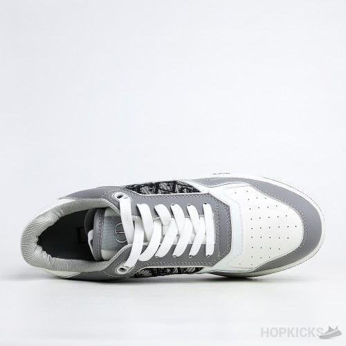 Dior B27 Low Gray White