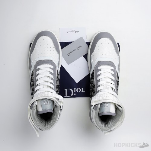 Dior B27 High Top Gray White