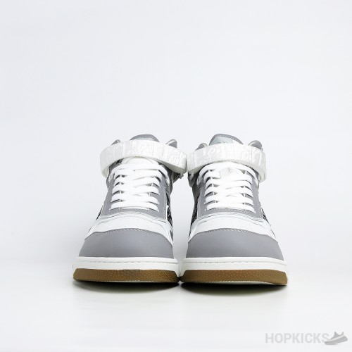 Dior B27 High Top Gray White