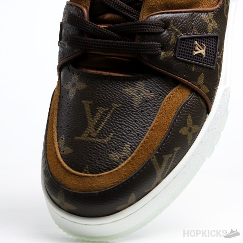 LV Trainer Suede Brown (Transparent Sole)